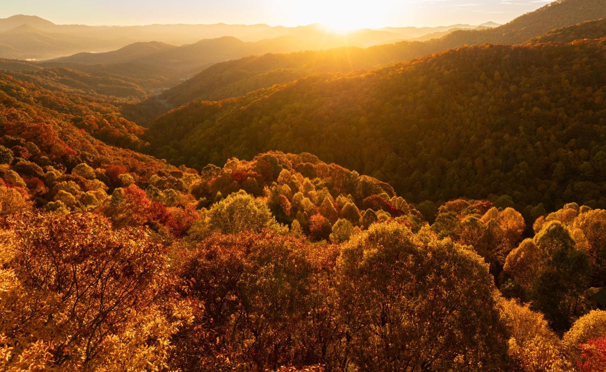 Elk & Embers Mountain Hideaway Hotel Waynesville Buitenkant foto