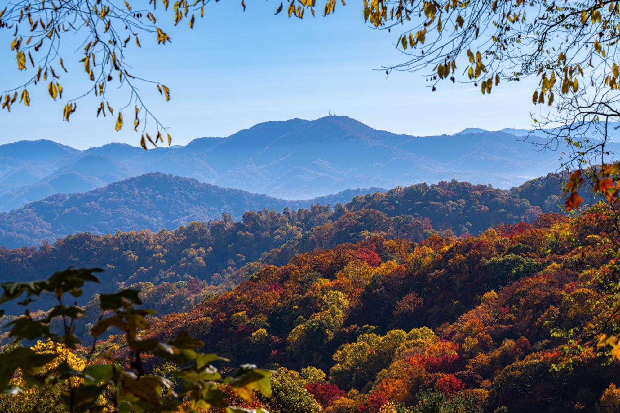 Elk & Embers Mountain Hideaway Hotel Waynesville Buitenkant foto